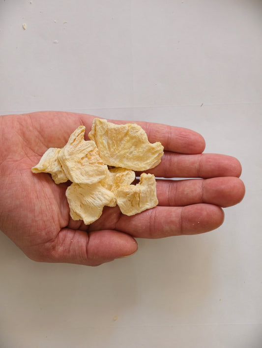 Freeze Dried Pineapple