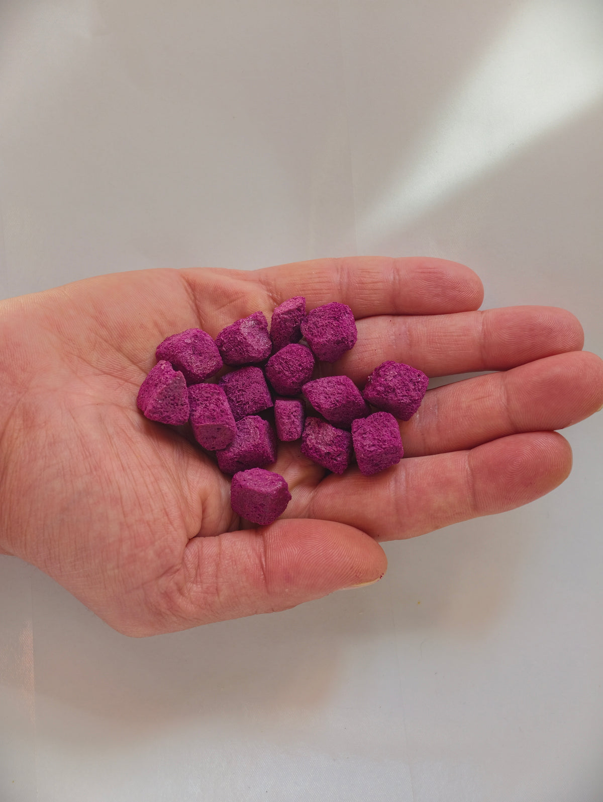 Freeze Dried Jamun